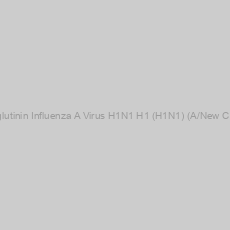 Image of Rabbit Anti-Hemagglutinin Influenza A Virus H1N1 H1 (H1N1) (A/New Caledonia/20/99) IgG